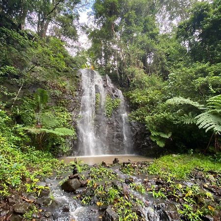 Nimbin Waterfall Retreat Exterior photo