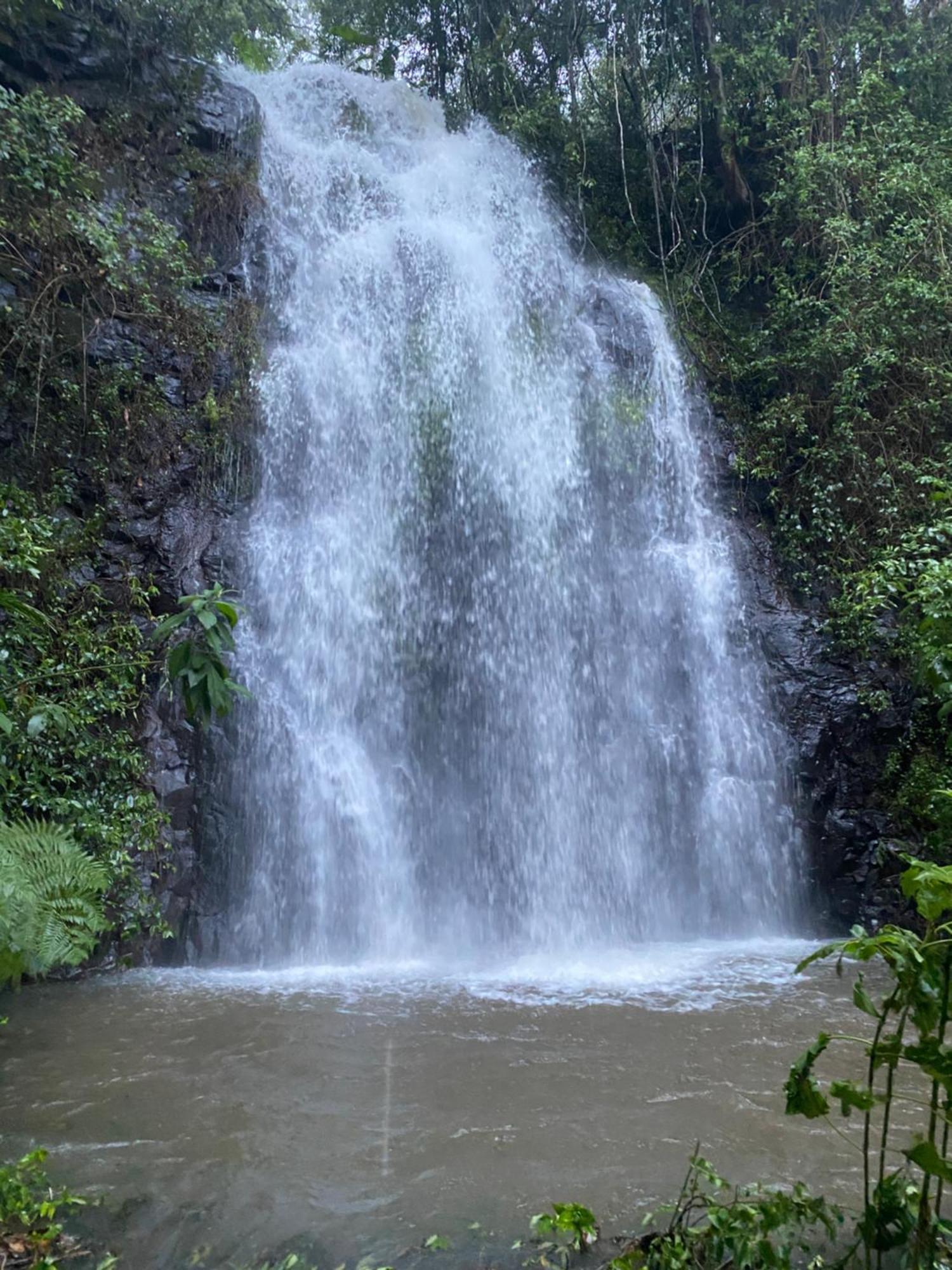 Nimbin Waterfall Retreat Exterior photo